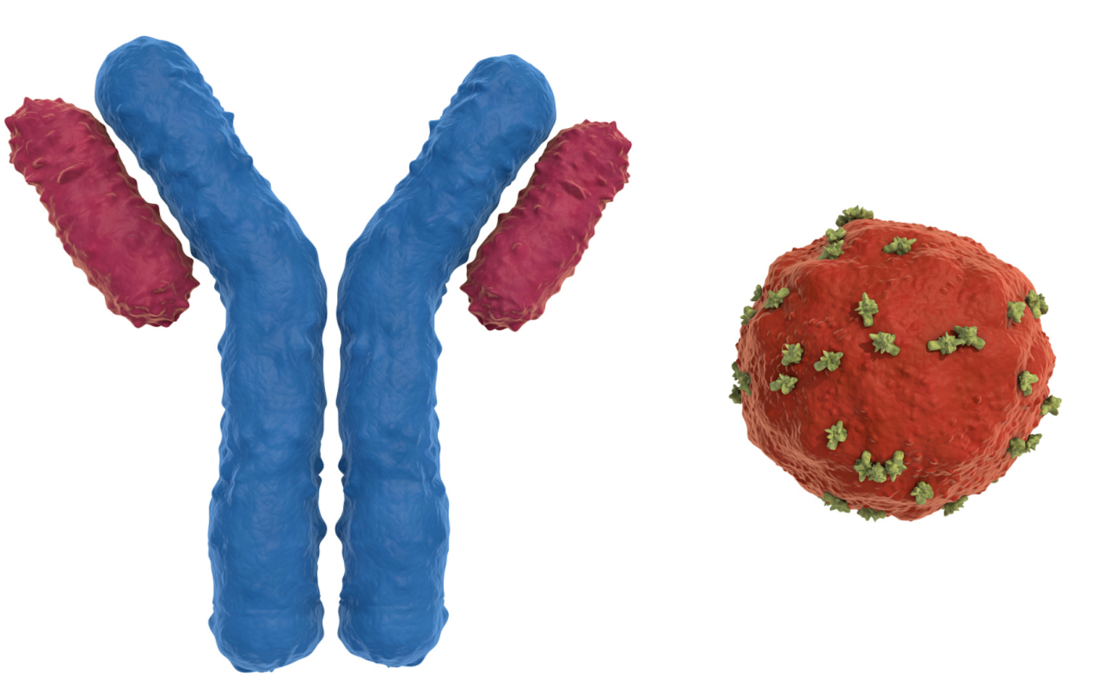 clip_cell_image4.png