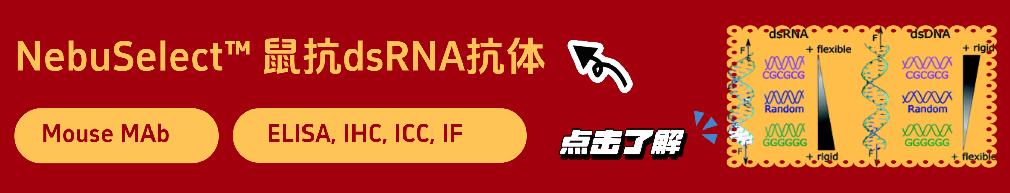 中文.png