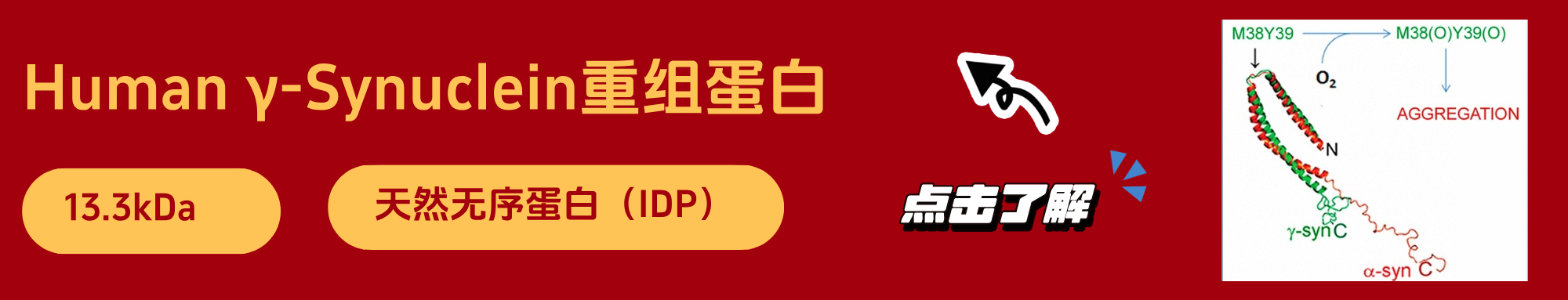 中文界面.png