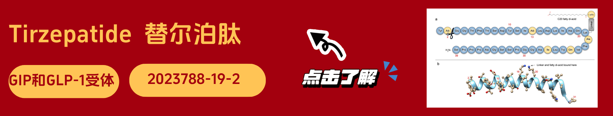 替尔泊肽.png