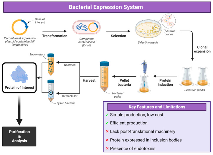 1758154237907858.png 1758154237907858.png