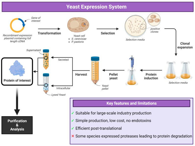 1758154334598141.png 1758154334598141.png