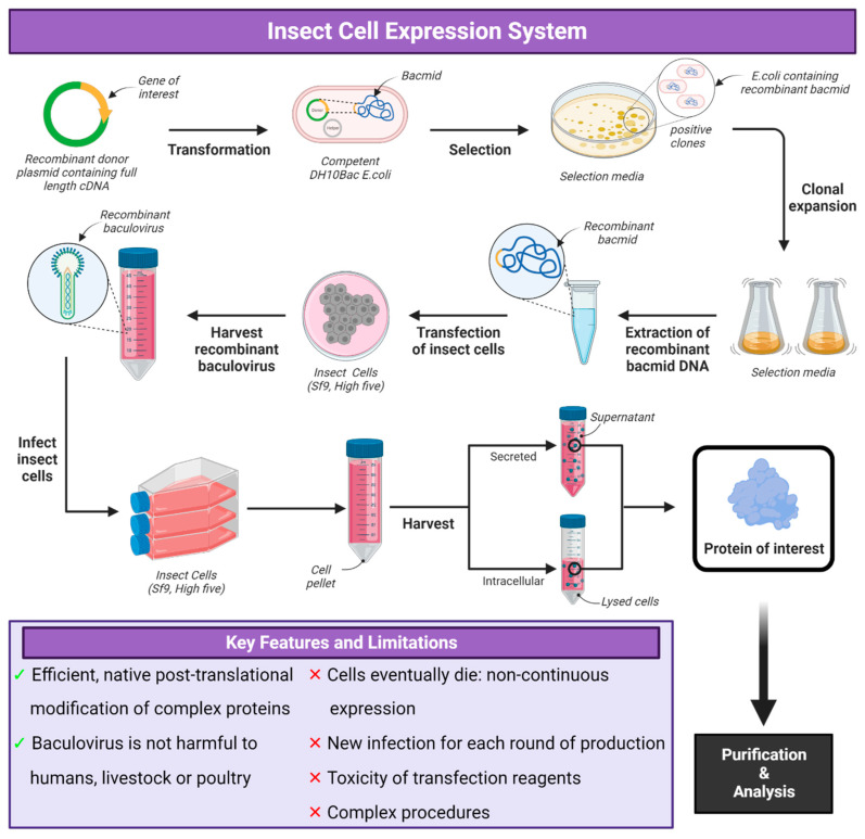 1758154398872703.png 1758154398872703.png