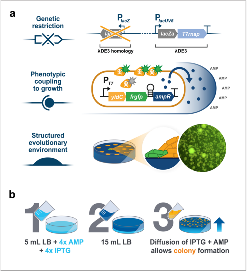 1761273336270690.png image.png