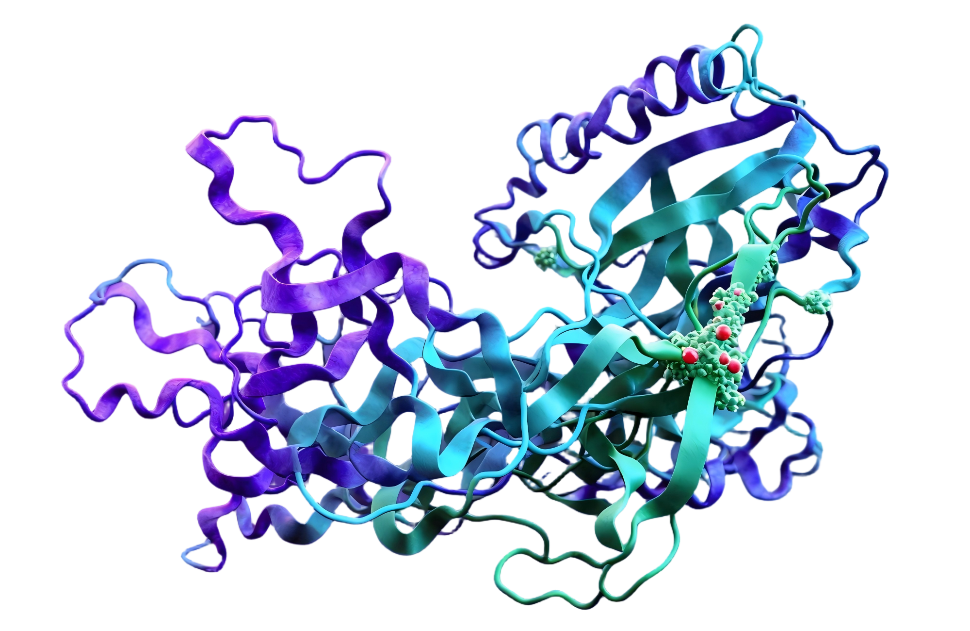 1763688771437976.png 生成细胞因子图片(1)(1).png