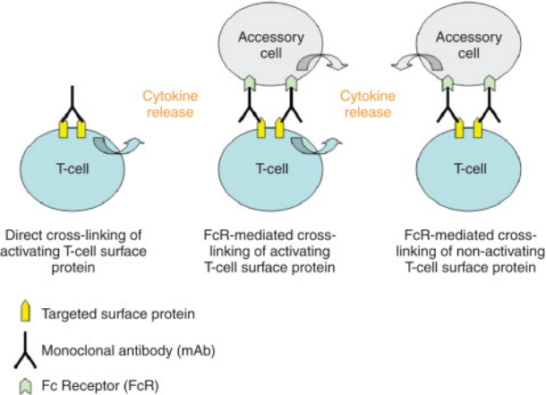 1764299956140148.png f3c25ac0-44bb-47a6-a7fb-ee160fc21f1b.png