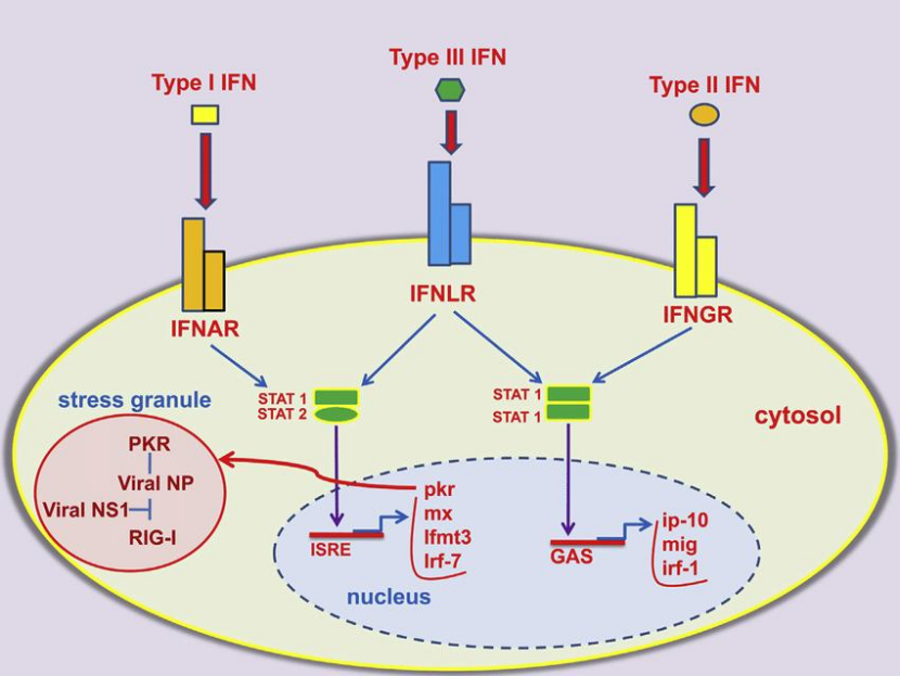 1764899320302165.png 2f93291d-30fa-4380-84e9-134b40b8dc7f.png