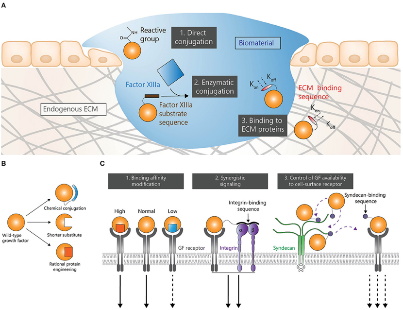 1765518013136190.png 52737af8-a380-4d07-a530-3b8743129098.png