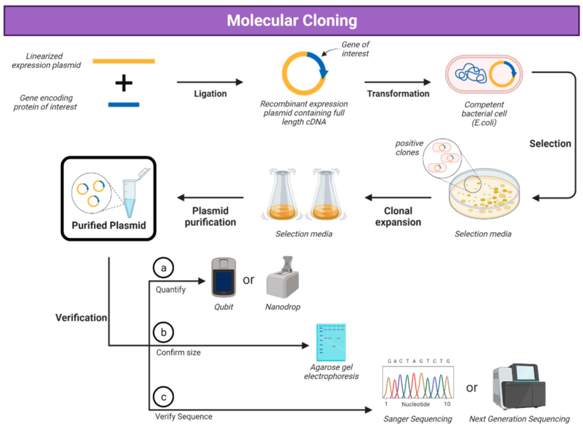 1766725638569716.png f002fb51-0cf1-44c2-810c-e00e3de71cb4.png