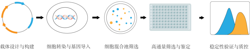 1767920095364973.png 6831a793-a5de-4bef-b5d6-6e8c9f6a8e0b.png