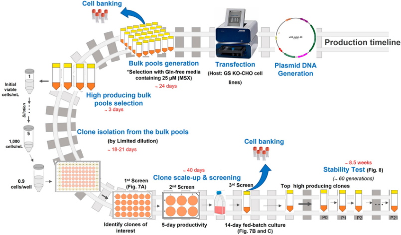 1768525715252446.png 0e7cc2b0-d13d-4ecd-8cdb-bf4c77d3857e.png