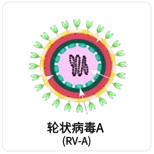轮状病毒A (RV-A)