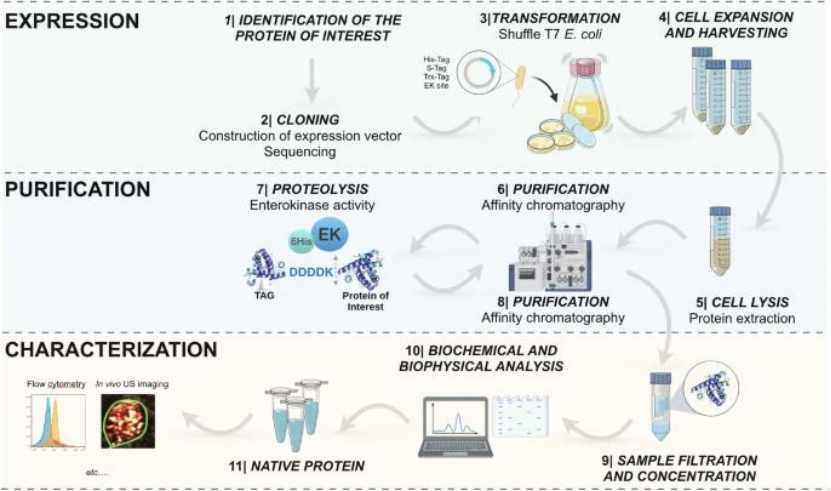 1769132776946948.png a5f210ef-096a-4458-bbae-14ff941327e7.png