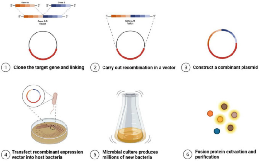 1769133869373218.png 63fefa26-abdb-4480-a4d1-9f866bc131d4.png