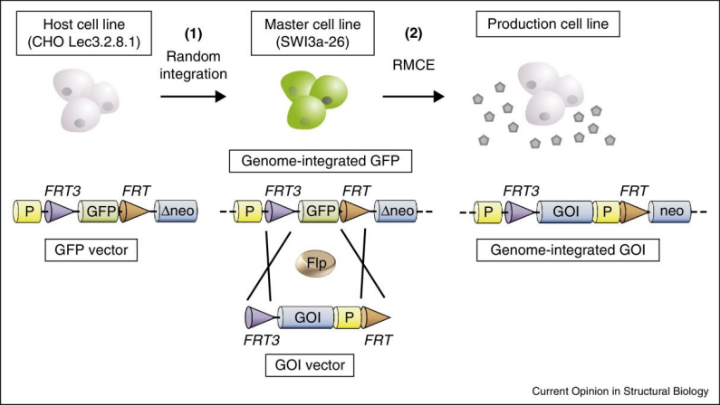 1770357465963886.png 218e9d8b-6f9a-4604-8877-c17559d0f11a.png
