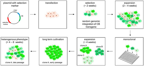 1772759142114203.png 图片11.png