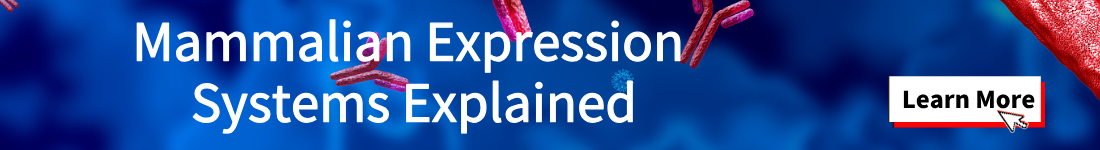 Mammalian Expression Systems Explained