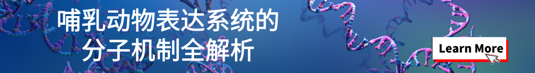哺乳动物表达系统的分子机制全解析