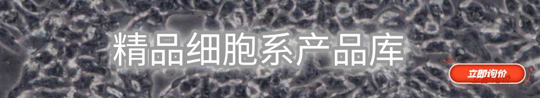 立即询价 全品类细胞系