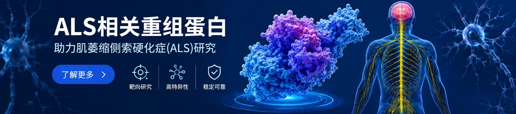 ALS相关重组蛋白