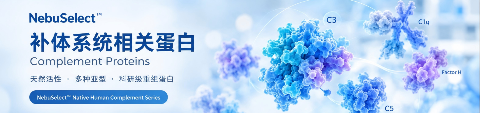 点击获取报价