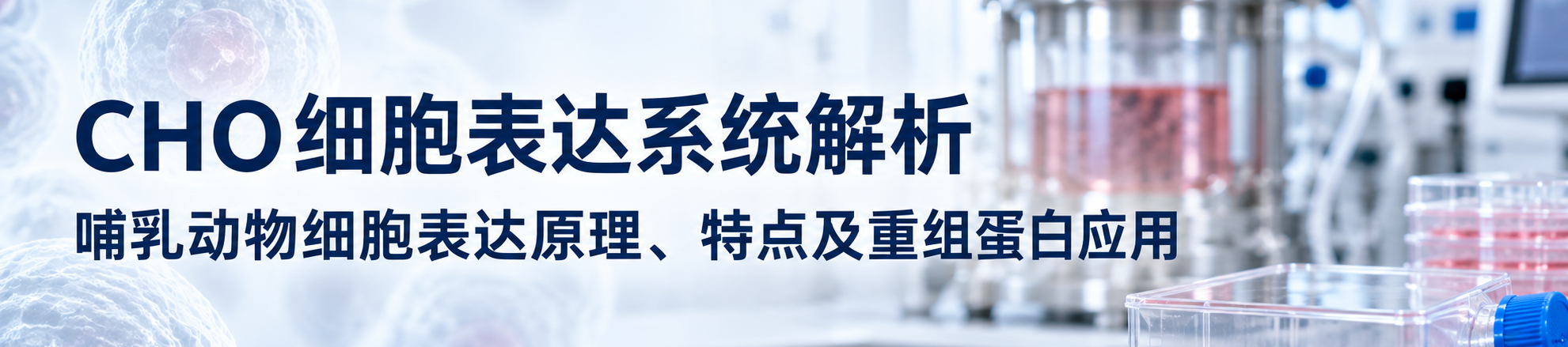 CHO细胞表达系统解析
