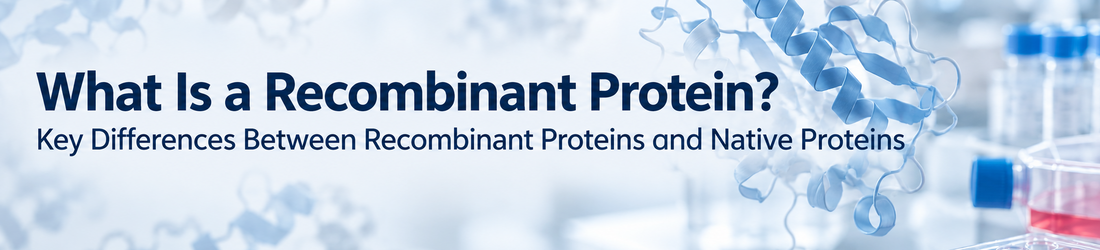 What Is a Recombinant Protein What Is a Recombinant Protein