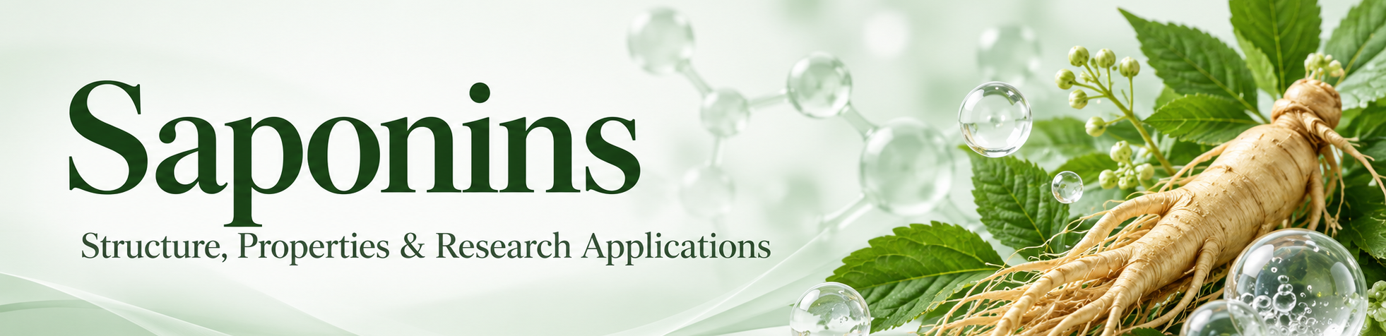 Saponins 