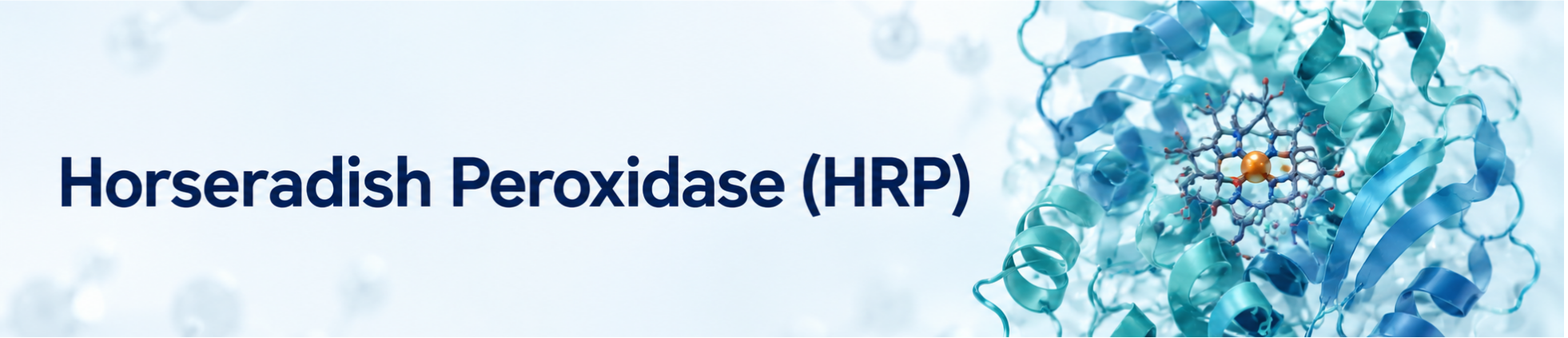 Horseradish peroxidase (HRP) 
